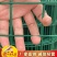 荷兰网围栏网铁丝网养鸡网栅栏养殖网防护网钢丝网隔离栏硬塑
