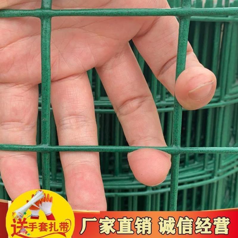 荷兰网围栏网铁丝网养鸡网栅栏养殖网防护网钢丝网隔离栏硬塑