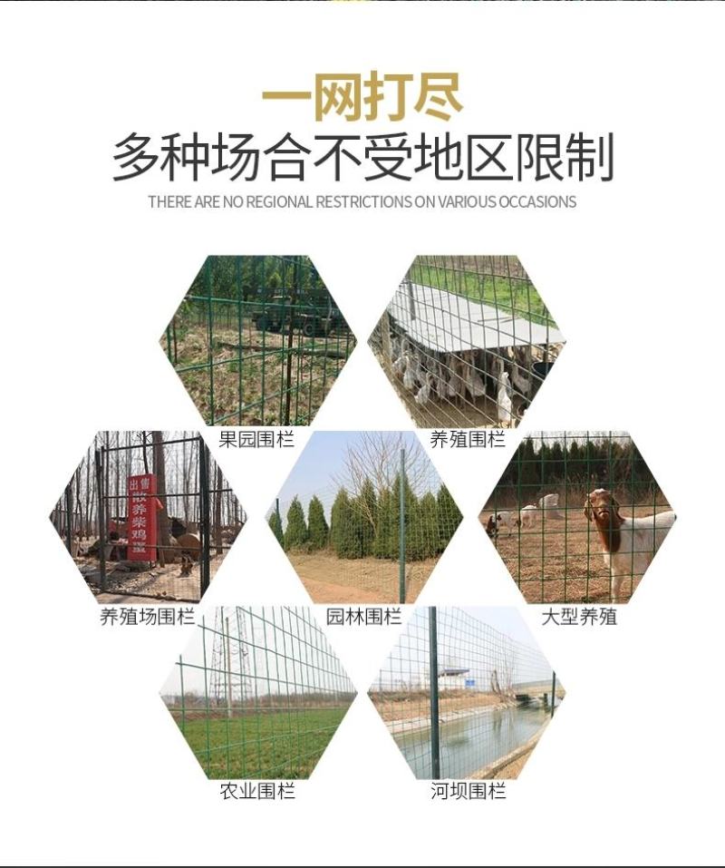 圈地网围栏网铁丝网厂家直销质量保证养殖养鸡养鸭防护网