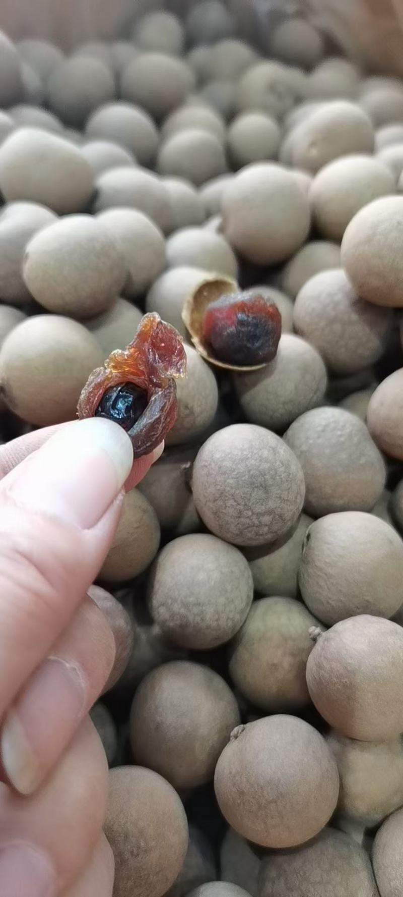 新货桂圆干！核小肉厚！口感纯正！
