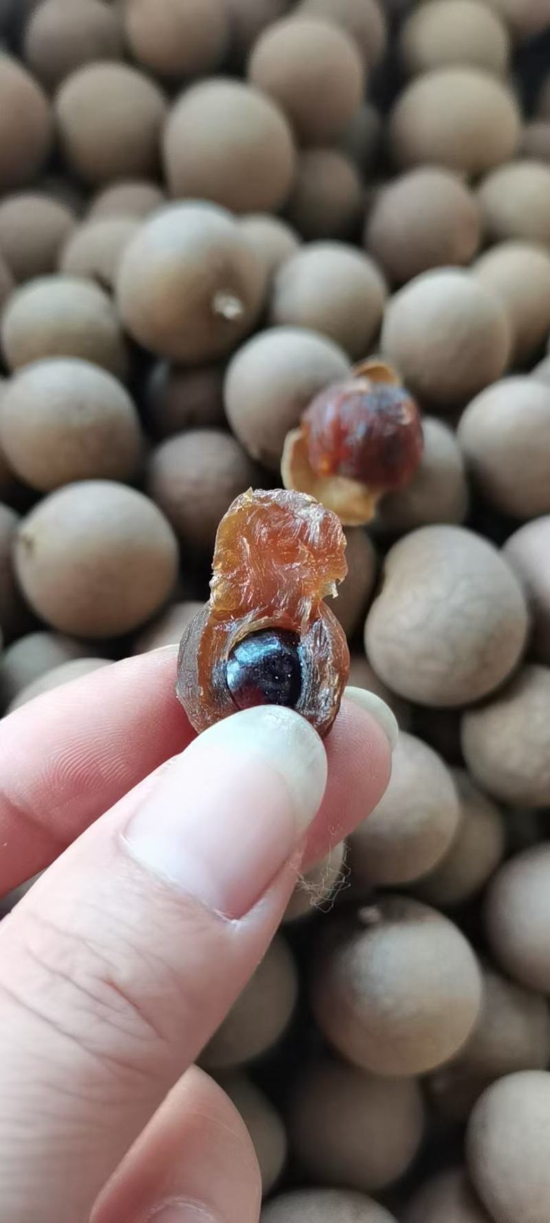 新货桂圆干！核小肉厚！口感纯正！