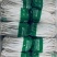 500g海鲜菇，基地直供，常年有货