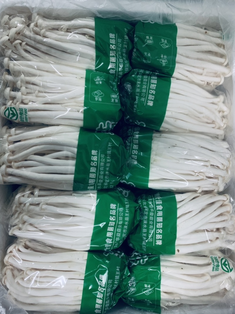 500g海鲜菇，基地直供，常年有货