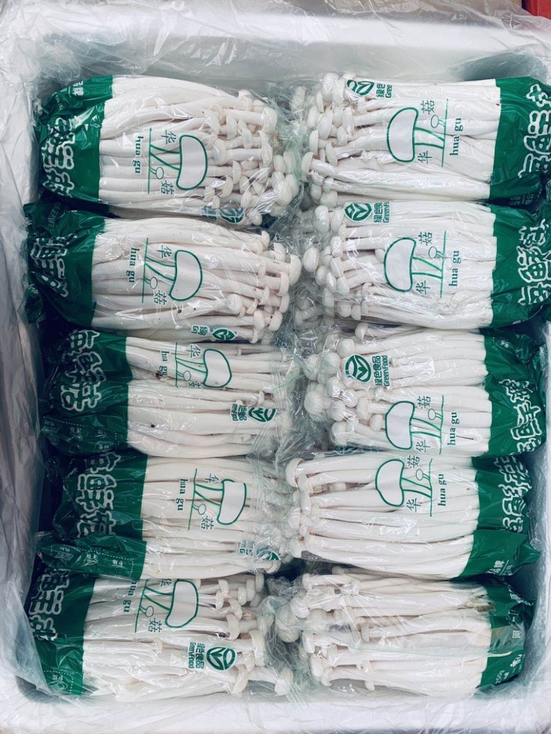 500g海鲜菇，基地直供，常年有货