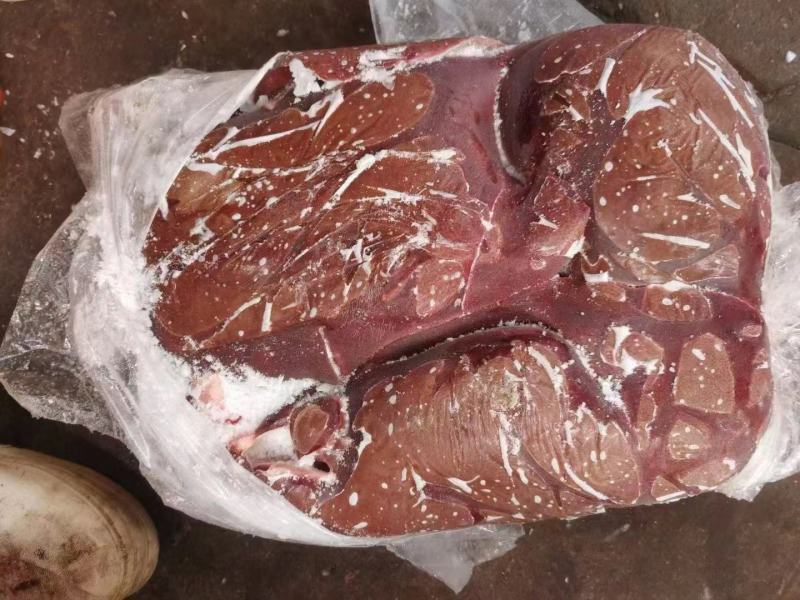 饲料级母猪肝