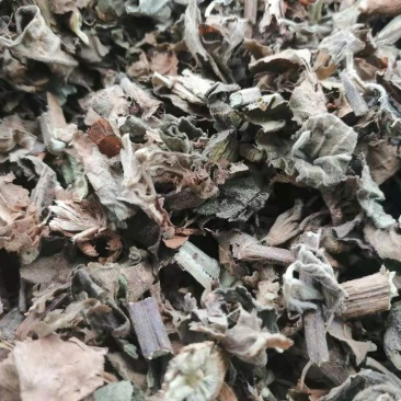 广藿香产地直销批发各种规格切片干品中药材原材