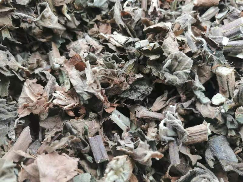 广藿香产地直销批发各种规格切片干品中药材原材