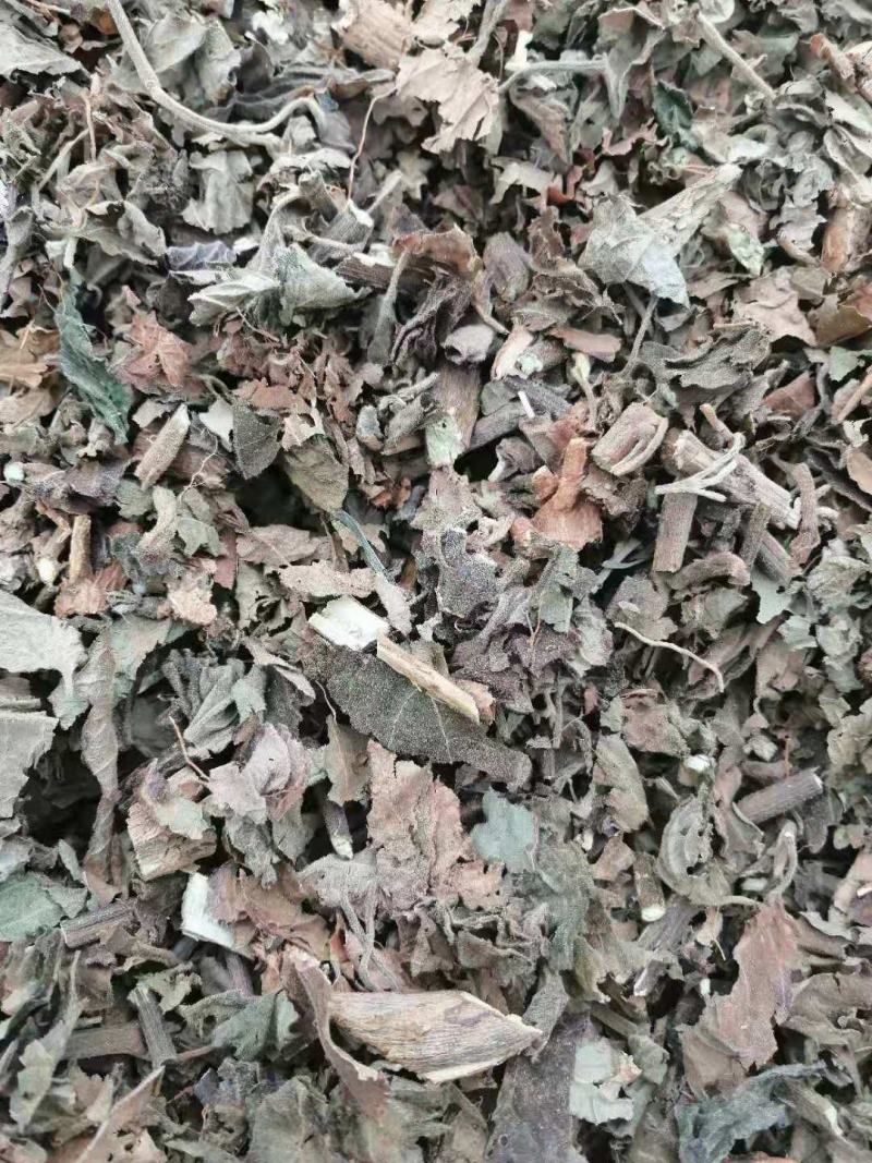 广藿香产地直销批发各种规格切片干品中药材原材