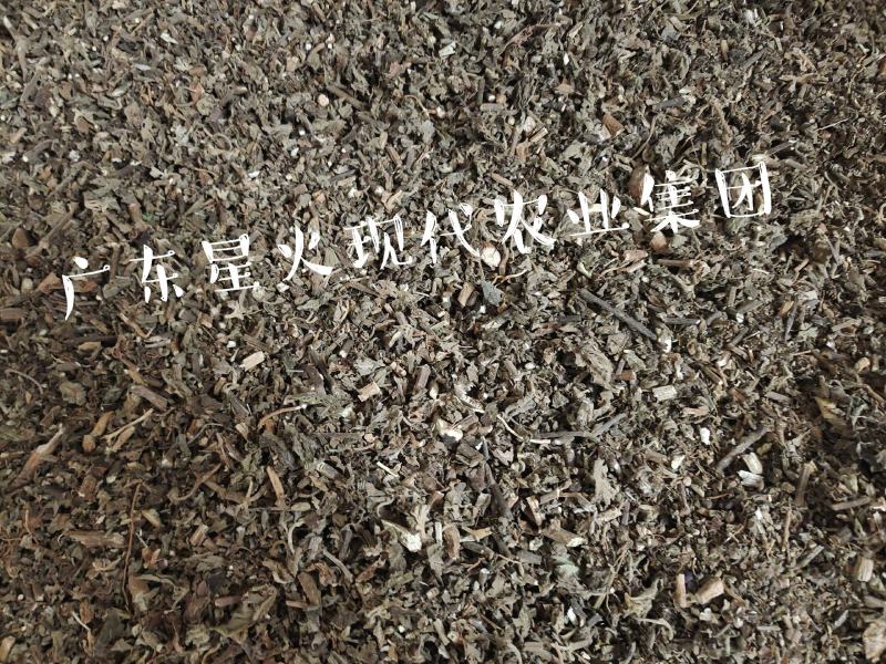 广藿香产地直销批发各种规格切片干品中药材原材