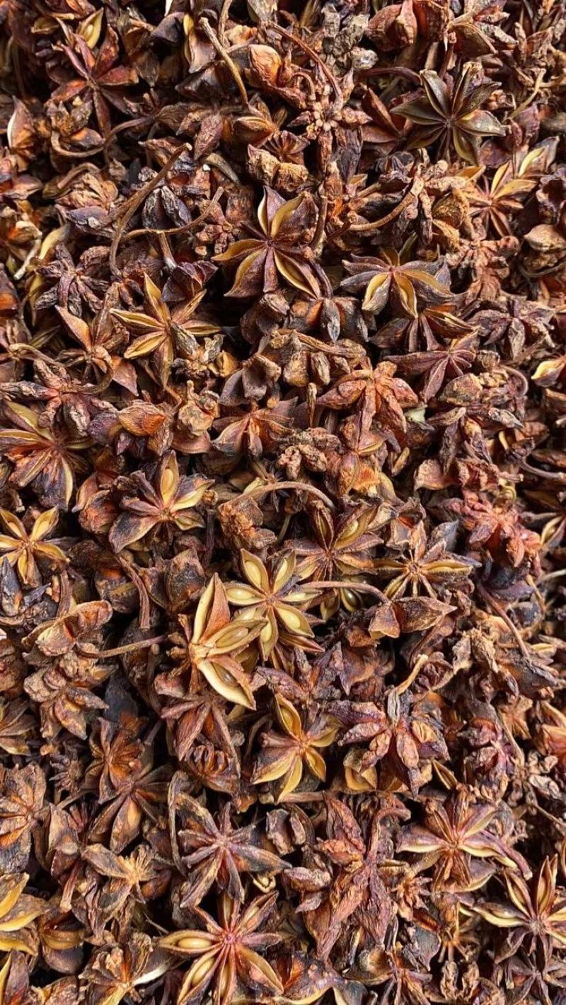 当季广西大红八角大料各种规格常年批发量大从优