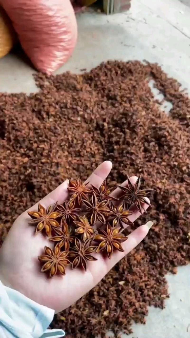 当季广西大红八角大料各种规格常年批发量大从优