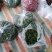 青小米椒高辣朝天椒816手工上筛挑拣！质量好！