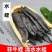 【一手货源】吊杆水蛭蚂蟥清水吊杆水蛭货源稳定