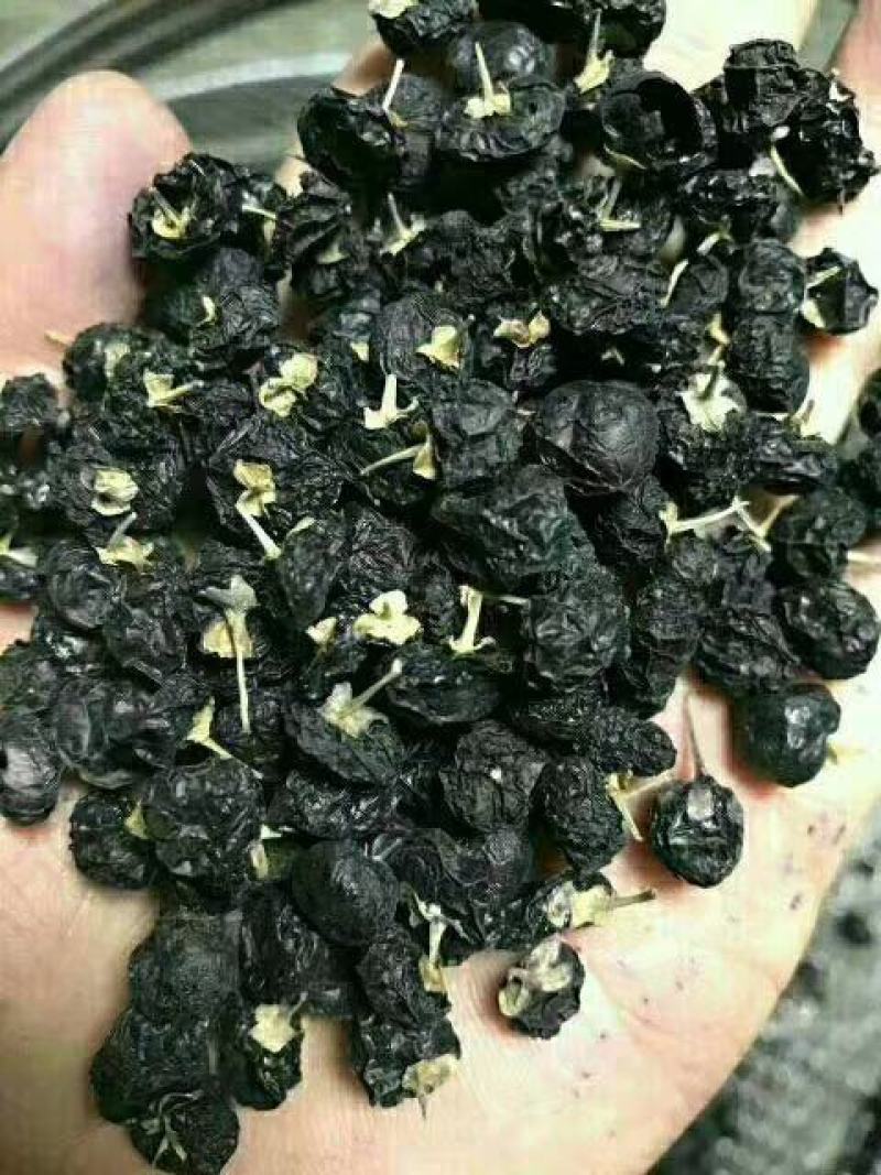 青海新疆甘肃野生黑枸杞非种植枸杞