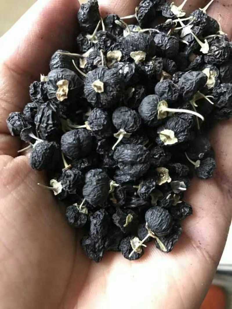 青海新疆甘肃野生黑枸杞非种植枸杞