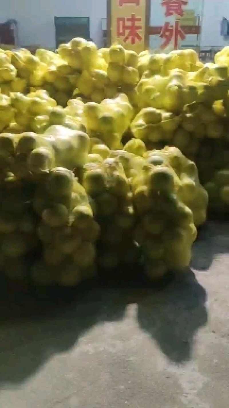 蜜柚