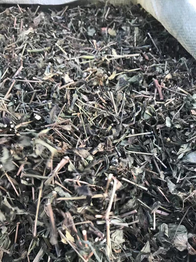 特优供应穿心莲（中药材穿心莲切段干货）产地发货