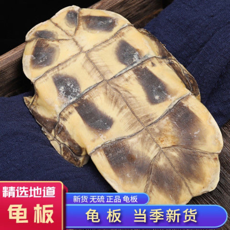 中药材炙龟板醋制龟板精选炙龟板正宗整个带皮醋炙龟板
