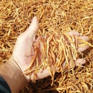 包邮，脱水黄花菜，，保质保量保退换。