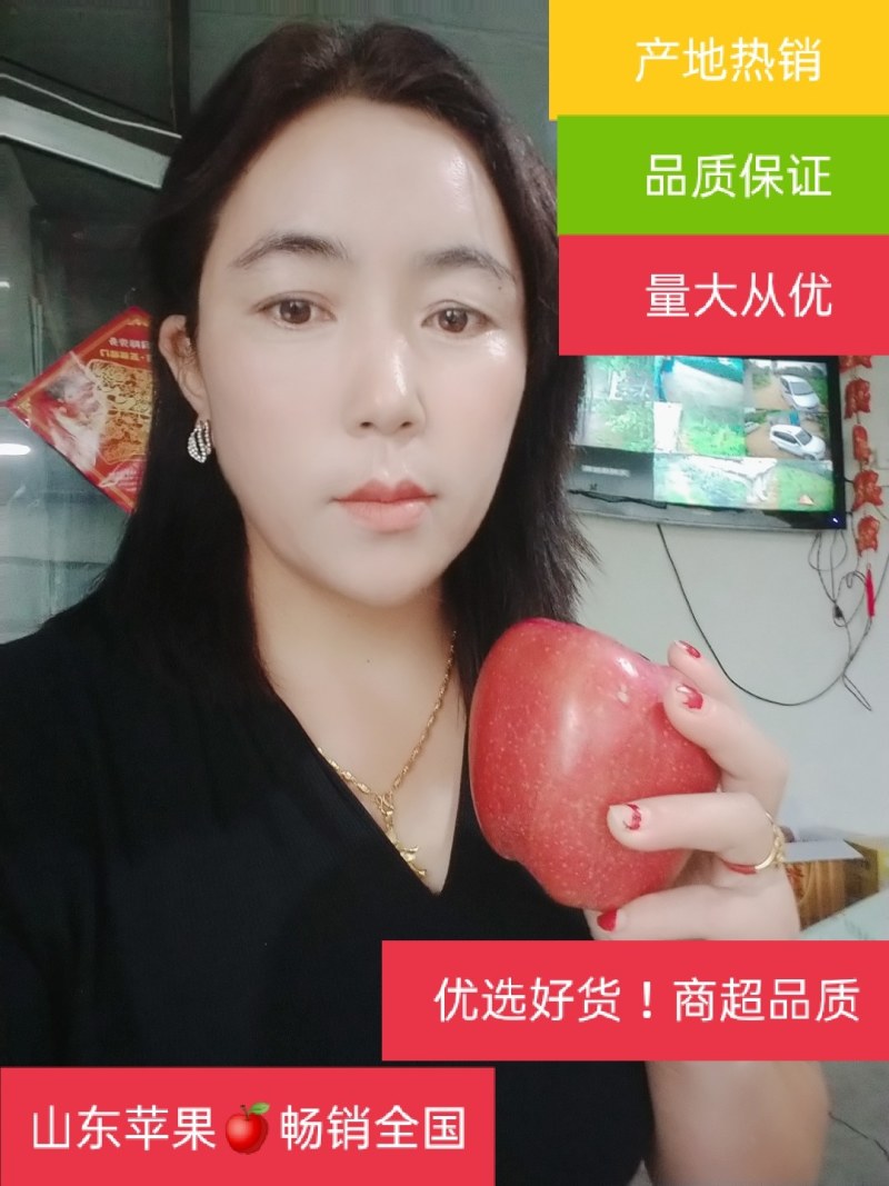 红富士苹果！每天更新价格行情！口感脆甜，果园现摘现发！
