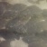 唐山地区3斤左右牙鲆鱼。海水鱼