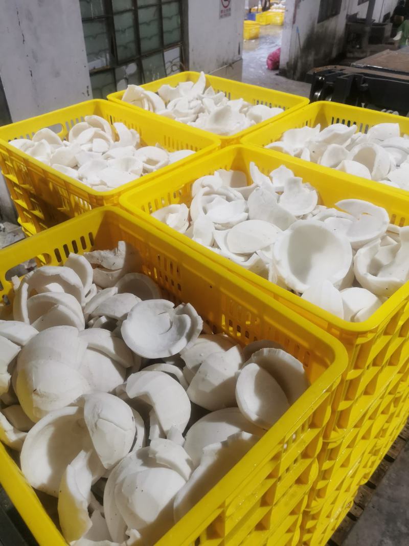 专业厂家批发新鲜椰子肉