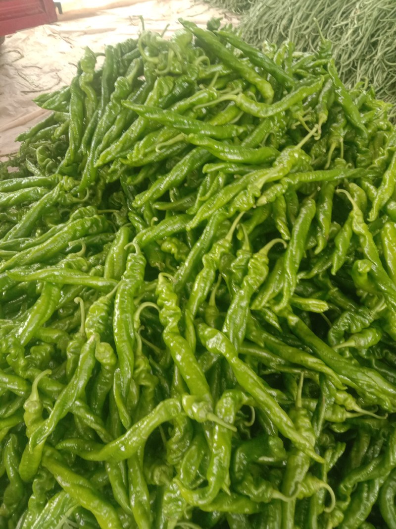 螺丝椒
