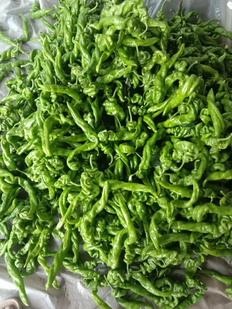 螺丝椒
