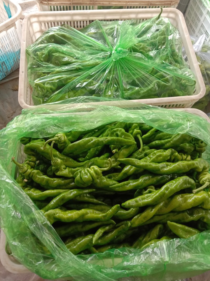 螺丝椒