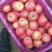 山东红富士苹果基地大量低价上市，代发全国欢迎客商咨询