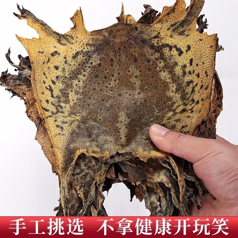 蟾蜍皮蟾蜍衣癞蛤蟆皮活体蟾蜍干蟾蜍皮一手货源