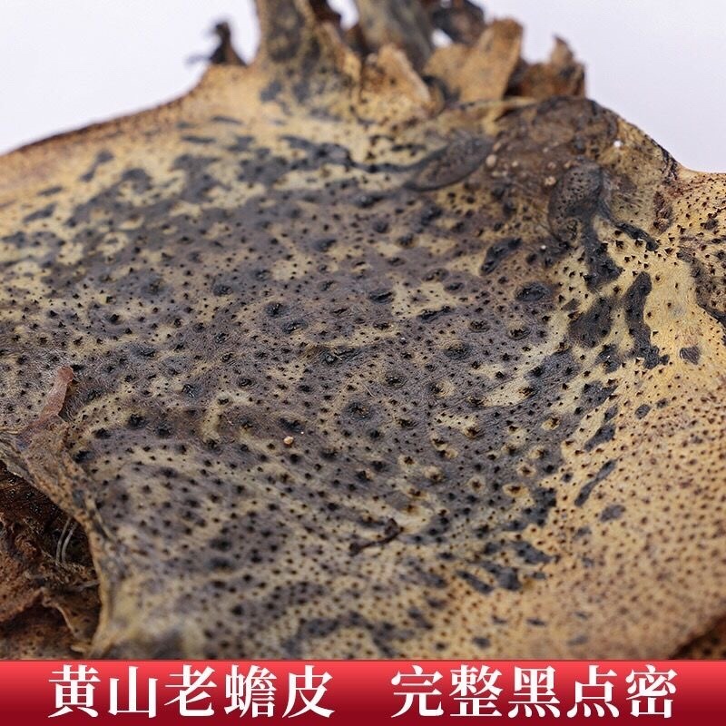 蟾蜍皮蟾蜍衣癞蛤蟆皮活体蟾蜍干蟾蜍皮一手货源