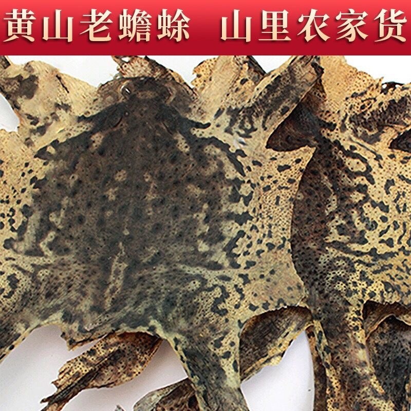 蟾蜍皮蟾蜍衣癞蛤蟆皮活体蟾蜍干蟾蜍皮一手货源