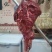 鲜牛肉