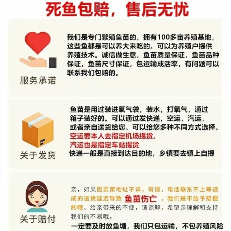 缩骨大头鱼苗水花苗胖头鱼苗缩骨花鲢仙骨大头苗