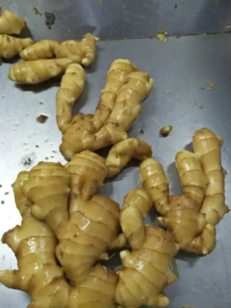 莒县小黄姜，湖南小黄姜，大量有货代发全国欢迎各位老板咨询