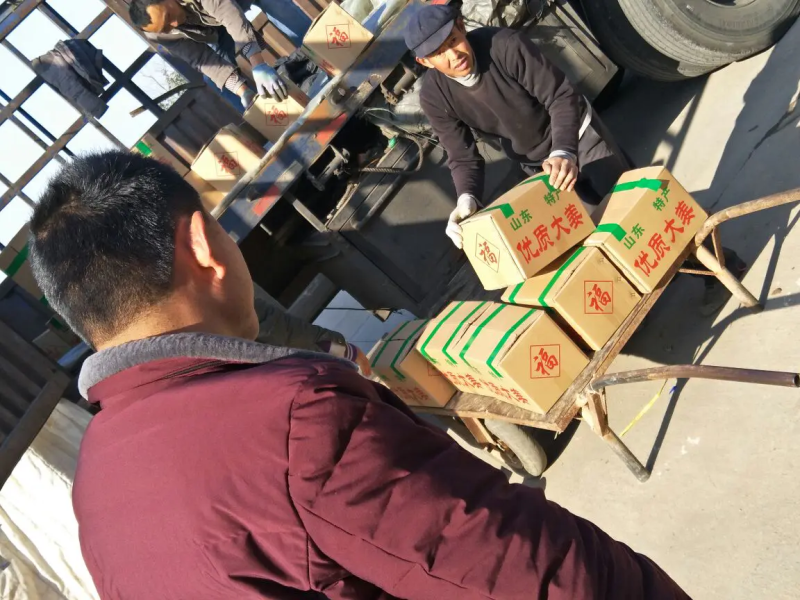 莒县小黄姜，湖南小黄姜，大量有货代发全国欢迎各位老板咨询