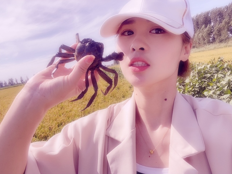 盘锦自家稻田河蟹