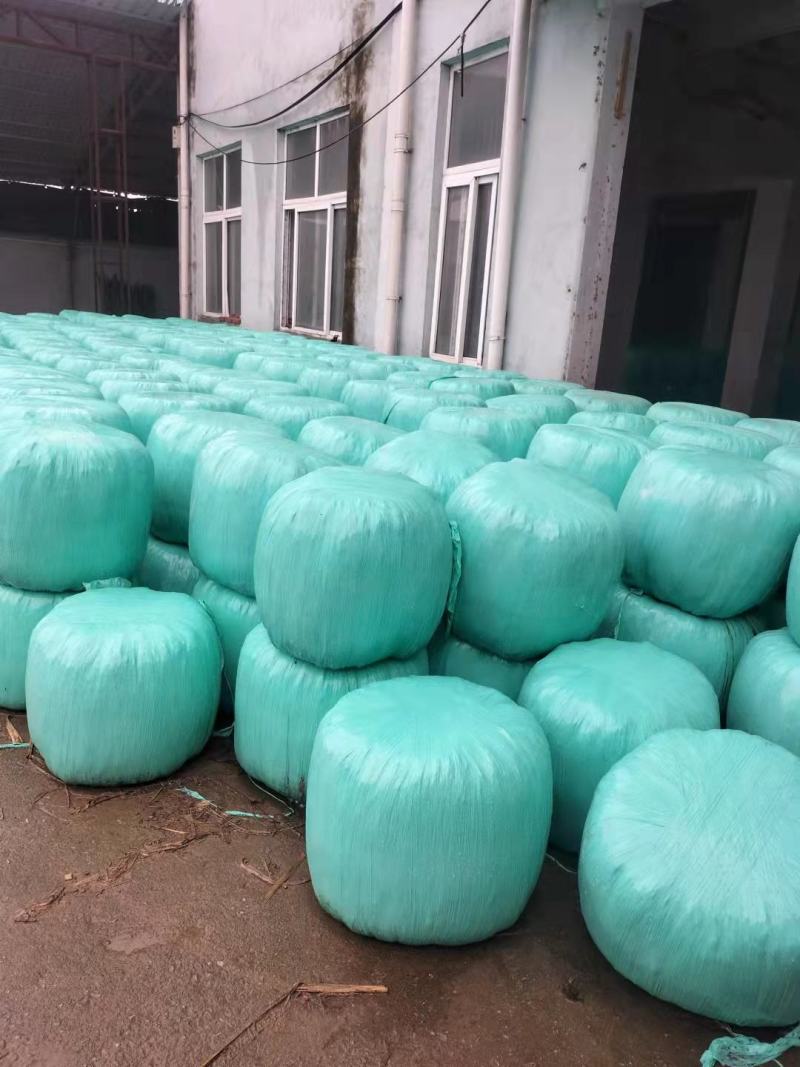 青黄玉米秸秆，圆捆包装，产家自产自销，源头发货