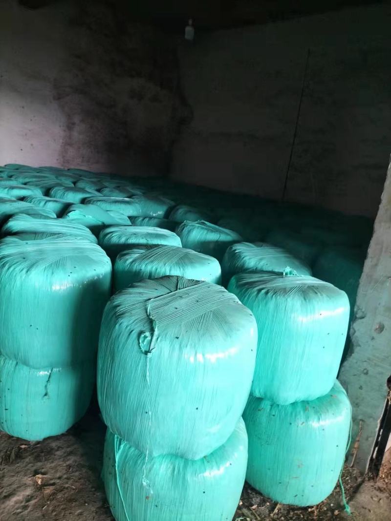 青黄玉米秸秆，圆捆包装，产家自产自销，源头发货