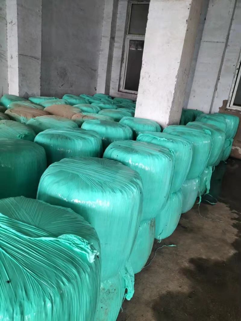青黄玉米秸秆，圆捆包装，产家自产自销，源头发货