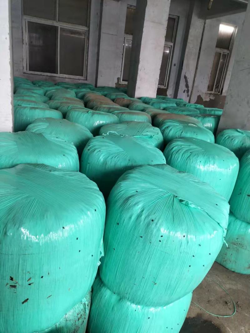 青黄玉米秸秆，圆捆包装，产家自产自销，源头发货