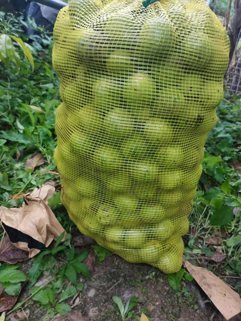 青皮核桃