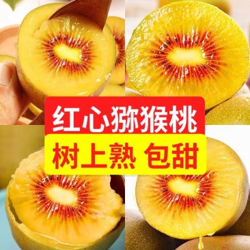 【一件代发】【包邮包赔】四川浦江红心猕猴桃原产地发货！