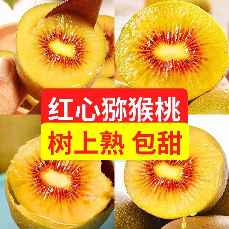 【一件代发】【包邮包赔】四川浦江红心猕猴桃原产地发货！