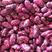 贵州本地紫花豆，质量好价格优