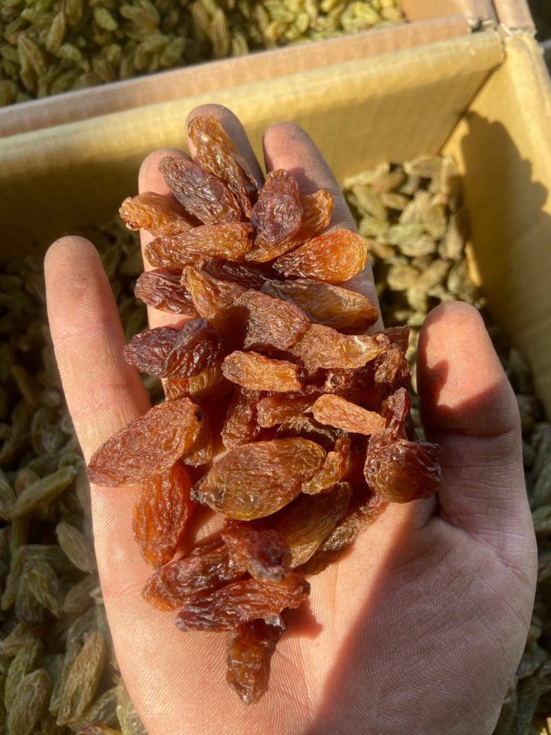 （包邮）特大颗粒，特级绿香妃，红香妃，黄香妃，等你们下