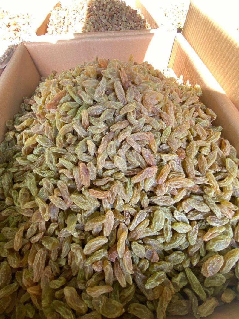 （包邮）特大颗粒，特级绿香妃，红香妃，黄香妃，等你们下