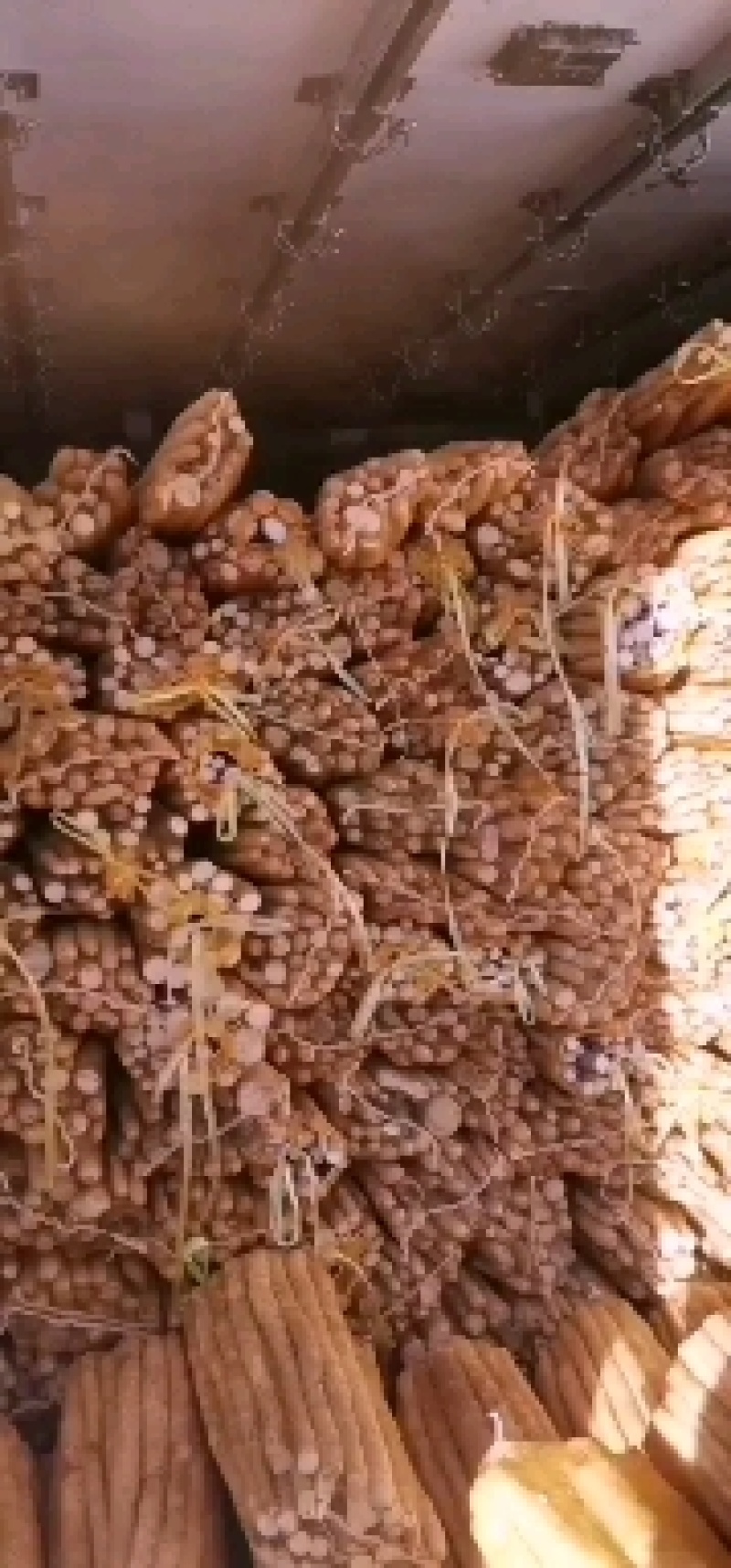河北山药-淮山药精品水洗网贷产地现货保证质量欢迎选购