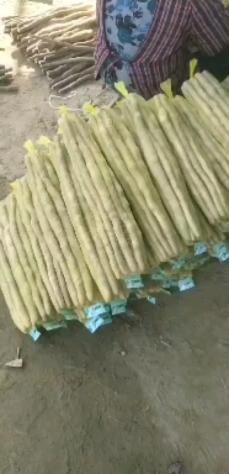 河北山药-淮山药精品水洗网贷产地现货保证质量欢迎选购